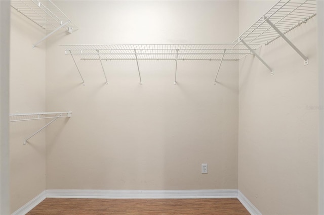 walk in closet featuring wood-type flooring