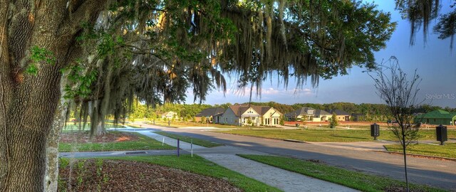 view of home's community with a lawn