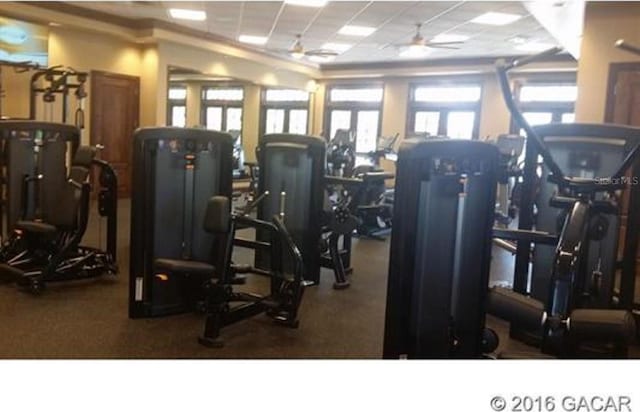 workout area featuring a drop ceiling and ceiling fan