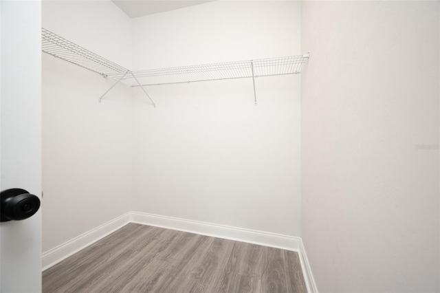 walk in closet featuring hardwood / wood-style floors