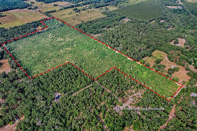 0 SW 120th Ave, Archer FL, 32618 land for sale