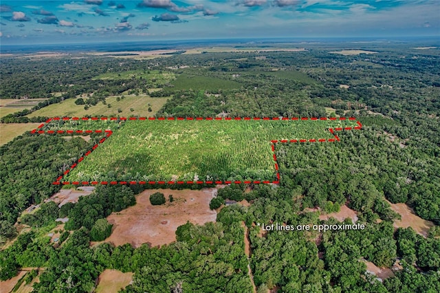 0 SW 120th Ave, Archer, FL 32618 - photo 3