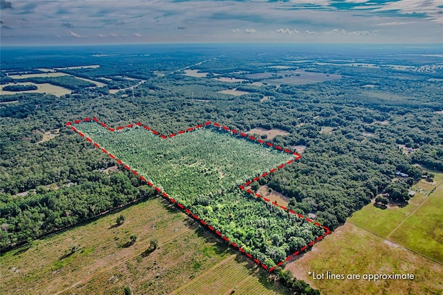 0 SW 120th Ave, Archer, FL 32618 - photo 4