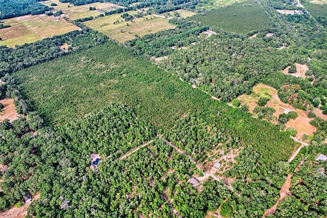 0 SW 120th Ave, Archer, FL 32618 - photo 11
