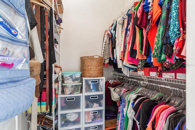 view of walk in closet