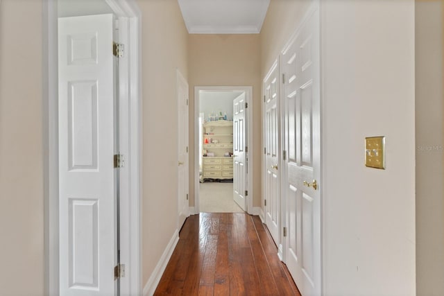 hall featuring dark hardwood / wood-style flooring and ornamental molding