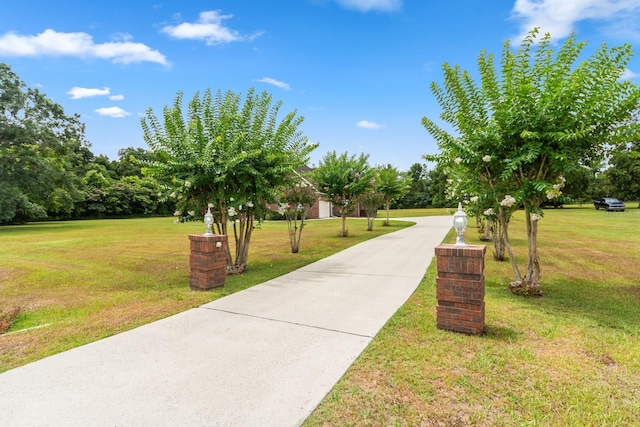 view of home's community featuring a yard