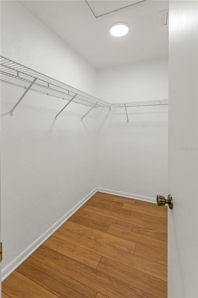 walk in closet featuring hardwood / wood-style flooring