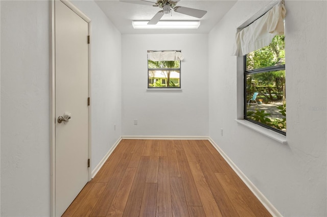 unfurnished room featuring light hardwood / wood-style flooring and ceiling fan