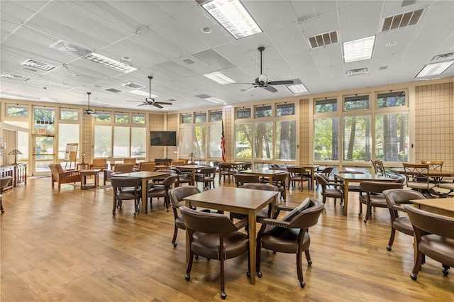 dining space featuring a paneled ceiling, ceiling fan, and light hardwood / wood-style flooring