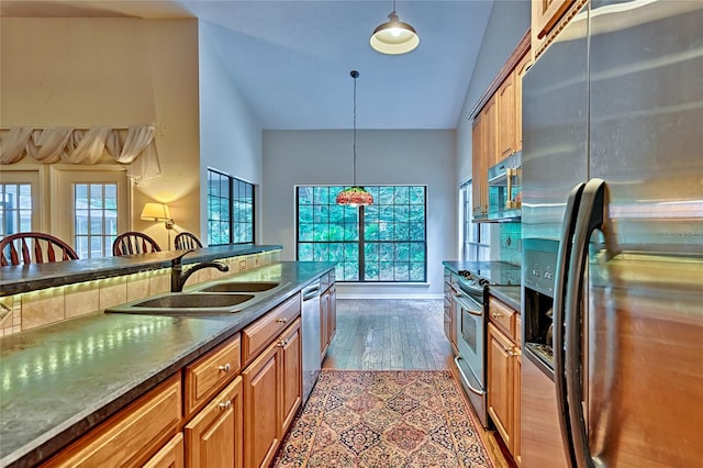 kitchen featuring hanging light fixtures, appliances with stainless steel finishes, dark hardwood / wood-style floors, and sink