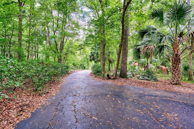 view of road