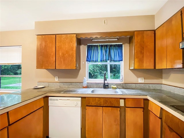 kitchen with sink, a healthy amount of sunlight, and dishwasher