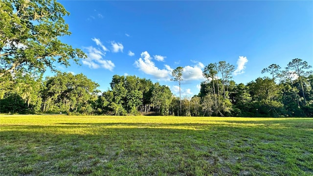 1224 NW 143rd St, Newberry FL, 32669 land for sale