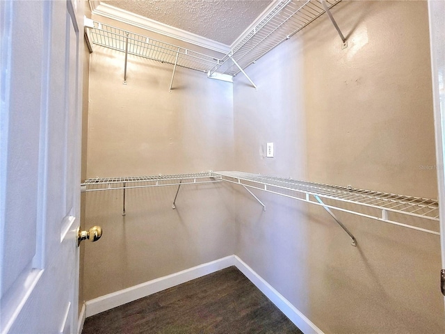 spacious closet featuring wood-type flooring