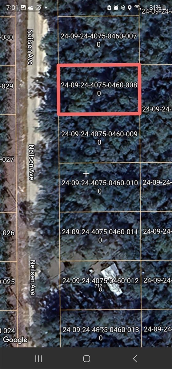 TBD Neilsen Ave, Interlachen FL, 32148 land for sale