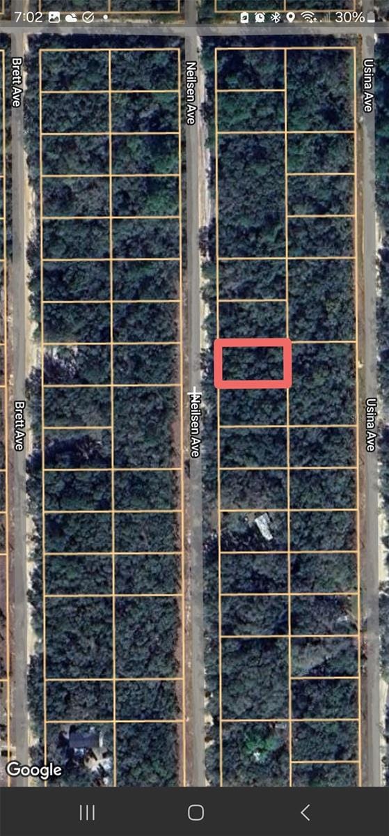 Listing photo 2 for TBD Neilsen Ave, Interlachen FL 32148