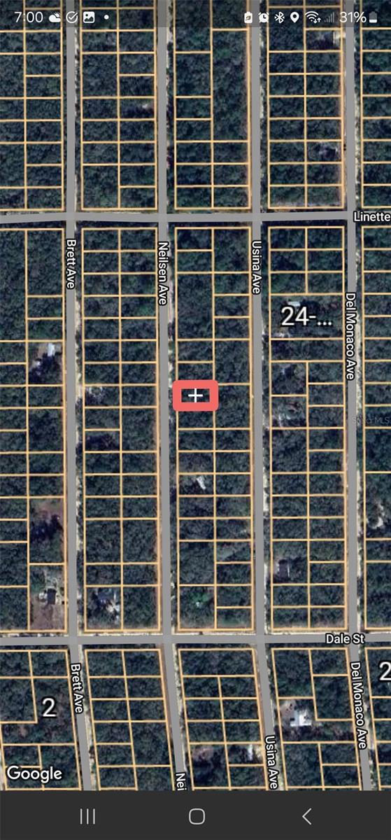 Listing photo 3 for TBD Neilsen Ave, Interlachen FL 32148