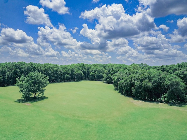 23137 NW County Road 236, High Springs, FL 32643 - photo 5