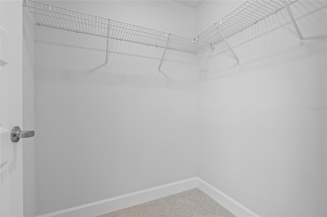 spacious closet with carpet