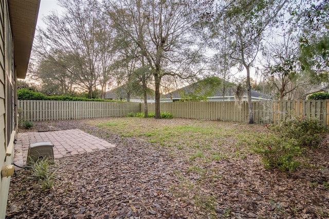 view of yard with a patio