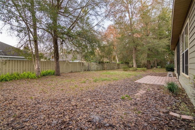 view of yard featuring a patio area