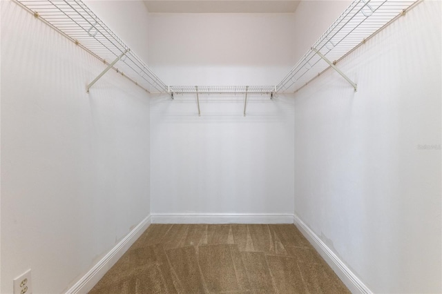 spacious closet featuring carpet flooring