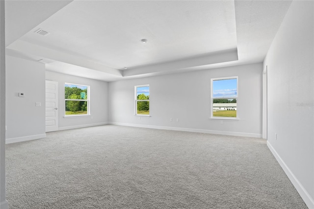 carpeted empty room with a tray ceiling and a wealth of natural light