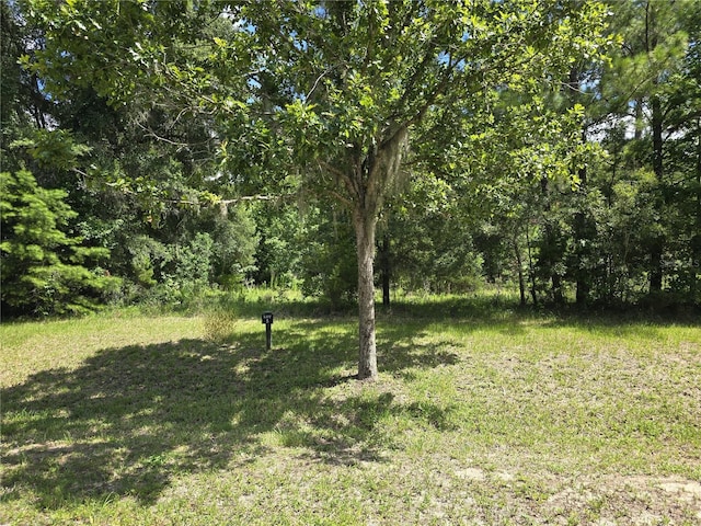 8911 NW 58th Ln, Gainesville FL, 32653 land for sale