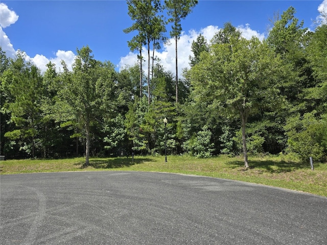 5987 NW 88th Way, Gainesville, FL 32653 - photo 1