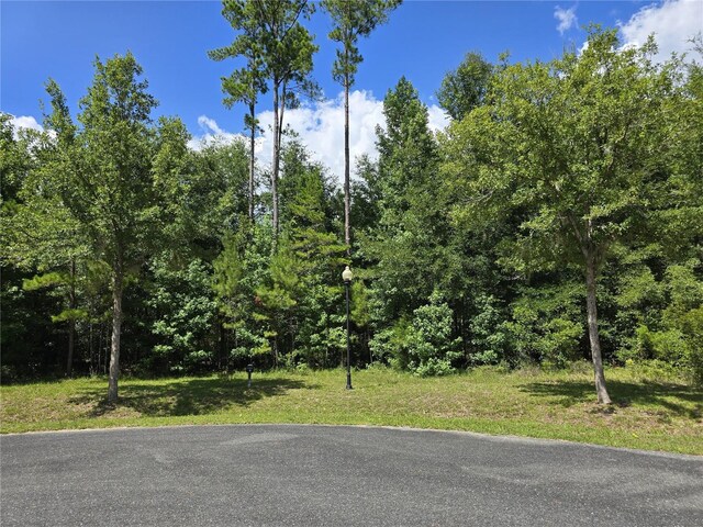 5990 NW 88th Way, Gainesville, FL 32653 - photo 1