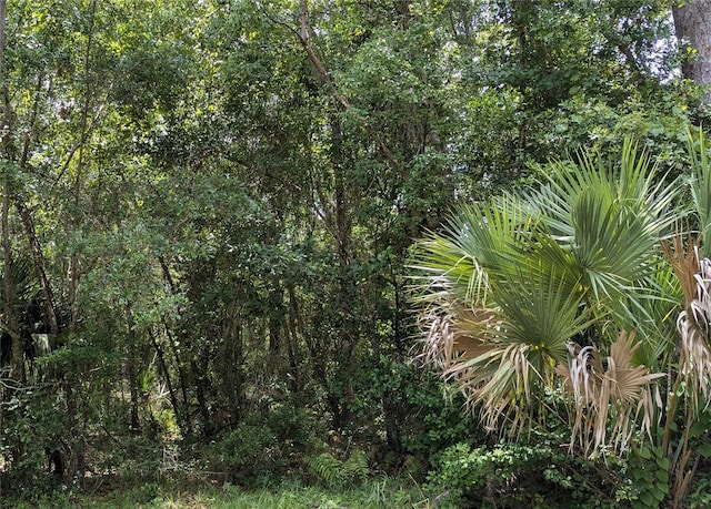 LOT7 NE Hunter Cir, Micanopy FL, 32667 land for sale