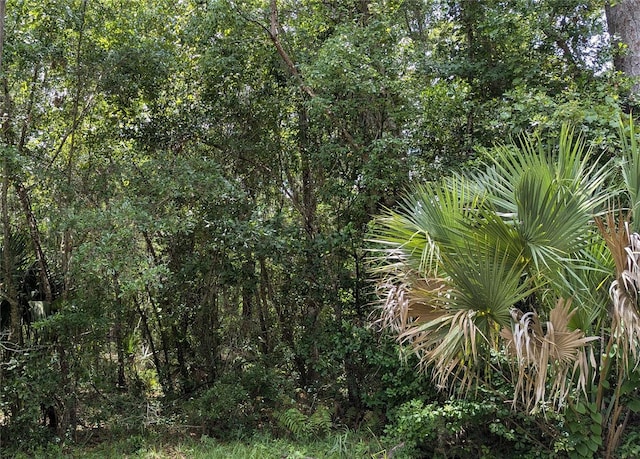 Listing photo 3 for LOT7 NE Hunter Cir, Micanopy FL 32667