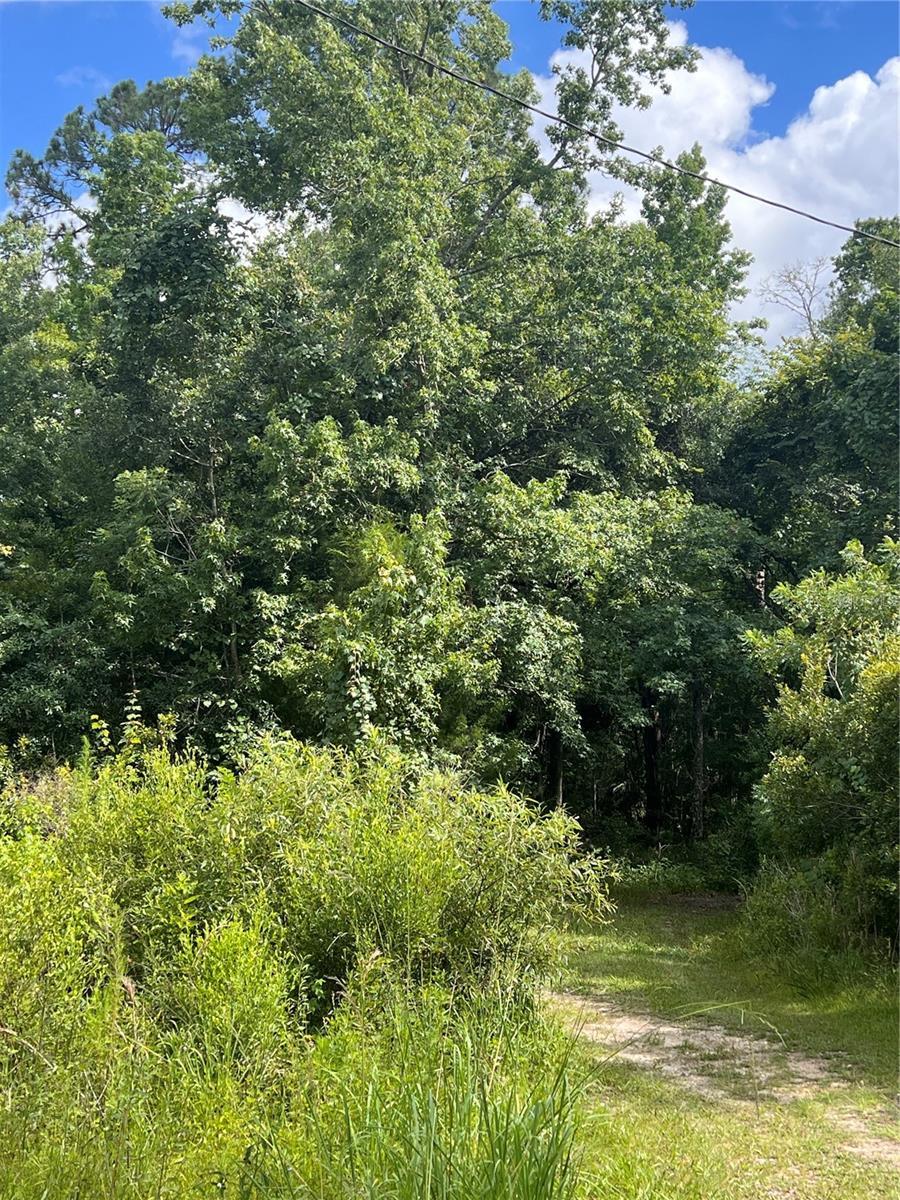 SW 75th St, Cedar Key, FL 32625