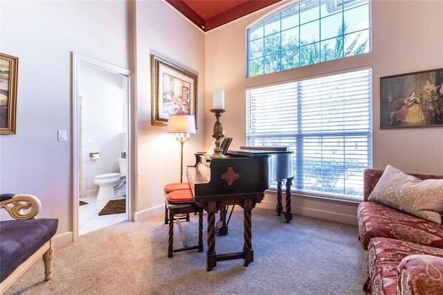 sitting room with carpet flooring