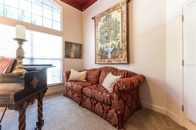 living area featuring light colored carpet