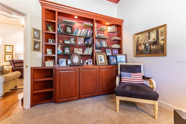 sitting room with light carpet