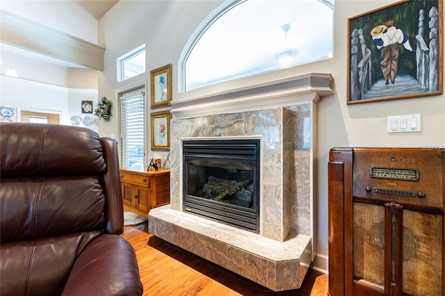 living room with a high end fireplace and hardwood / wood-style flooring