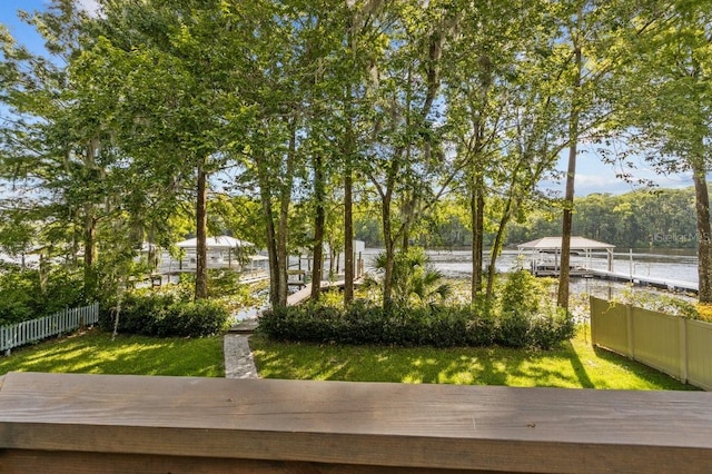 view of yard with a water view and a dock