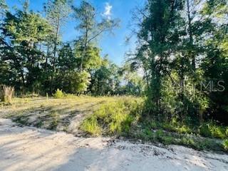 NW 18th Ter, Bell FL, 32619 land for sale