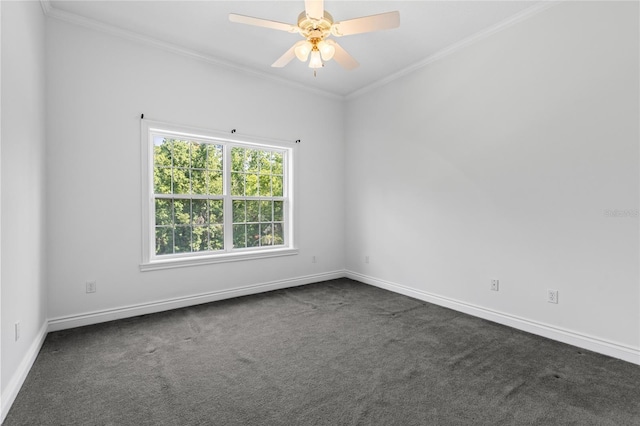 4020 NW 122nd St, Gainesville, FL 32606 - photo 17