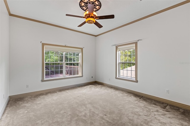 4020 NW 122nd St, Gainesville, FL 32606 - photo 16