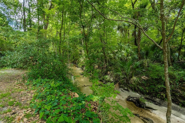 view of local wilderness