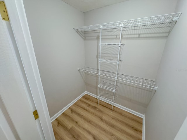 spacious closet featuring wood-type flooring