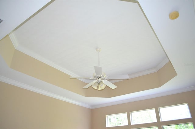 details featuring ceiling fan, a raised ceiling, and ornamental molding