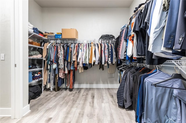 walk in closet featuring wood-type flooring