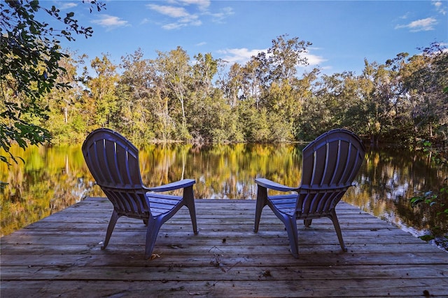 dock area with a water view