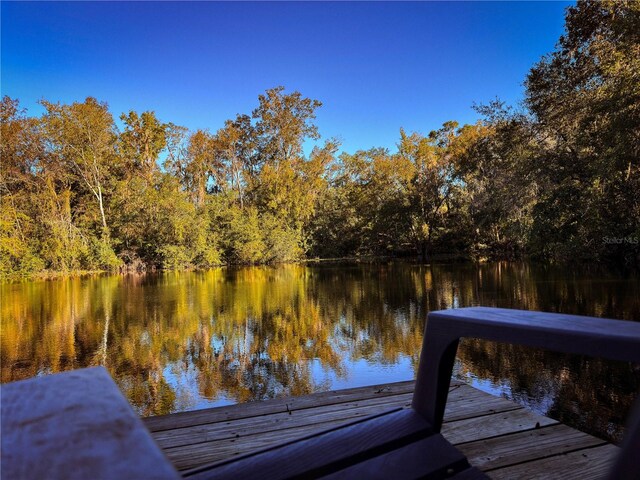 property view of water with a dock