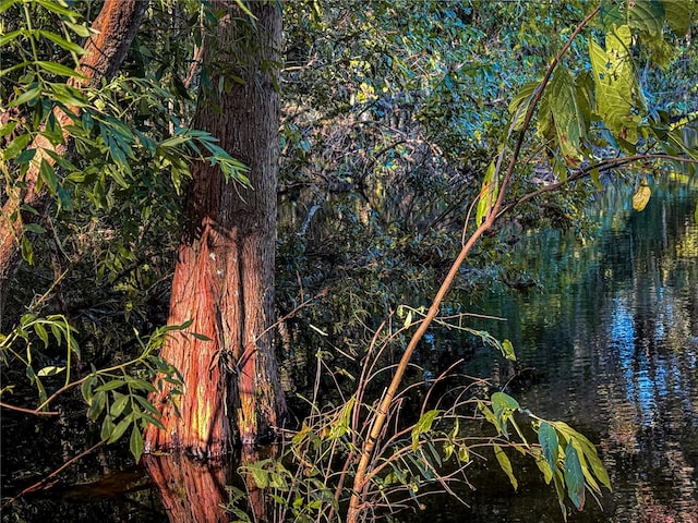 view of landscape with a water view