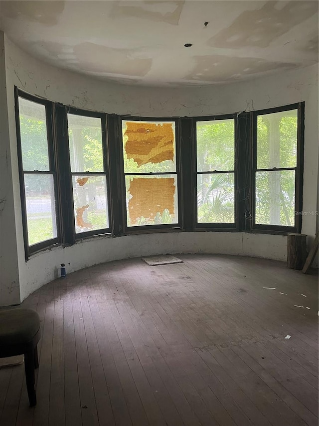 815 E University Ave, Gainesville, FL 32601 - spare room with wood-type flooring